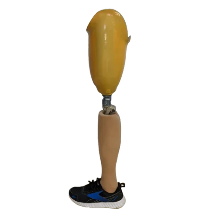 Artificial Leg Above Knee
