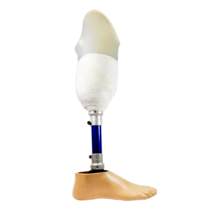 Artificial Leg Below Knee