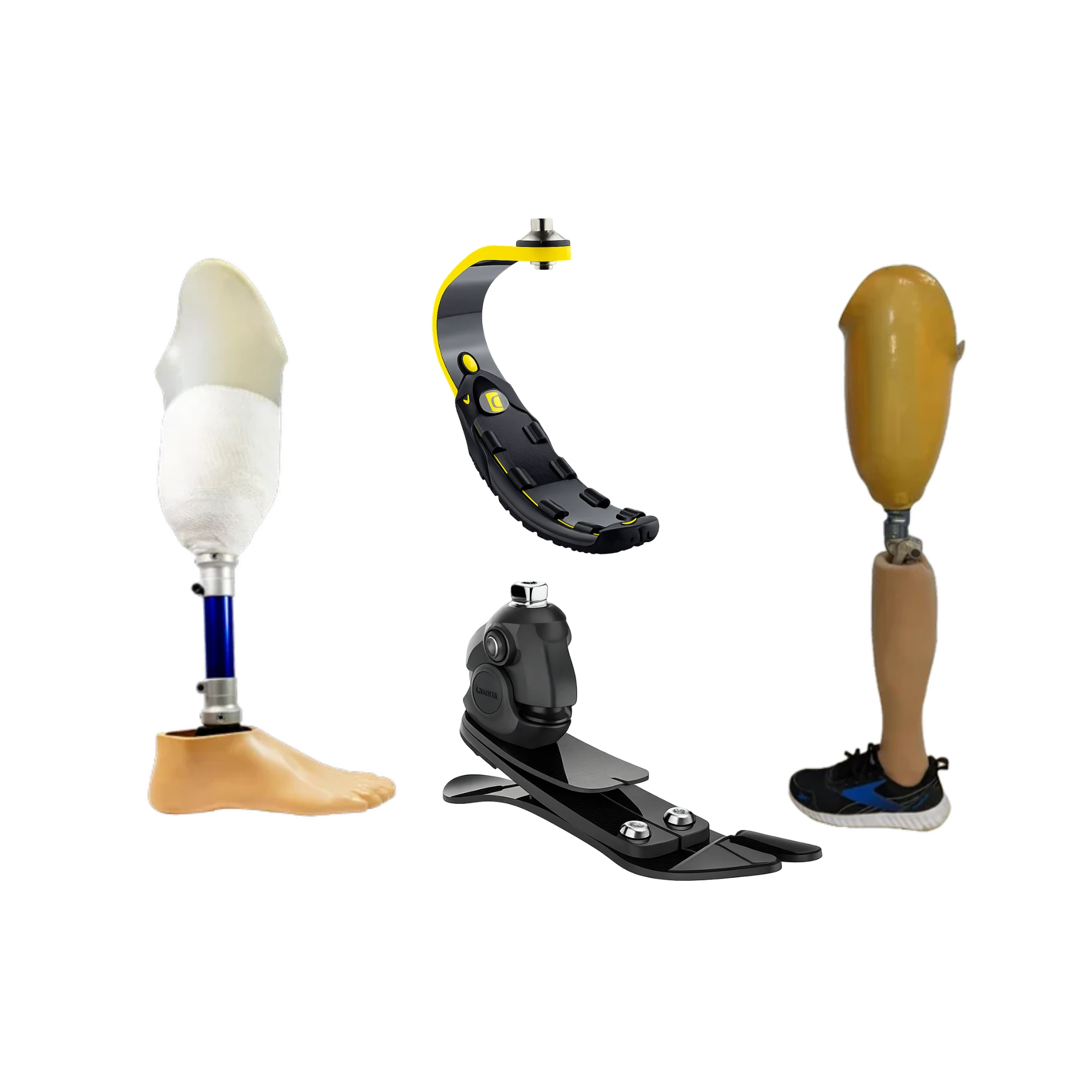 best artificial leg manufacturer in India