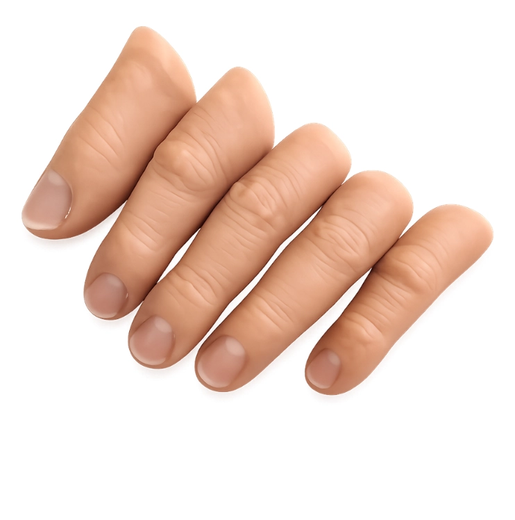 Artificial Silicone Finger