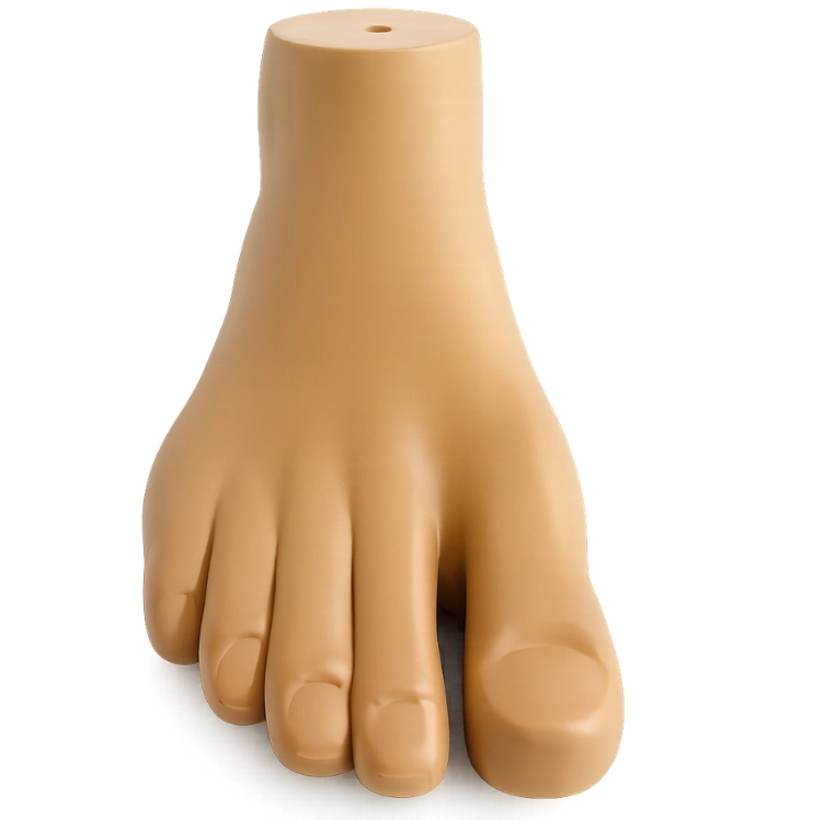 Foam Prosthetics Foot