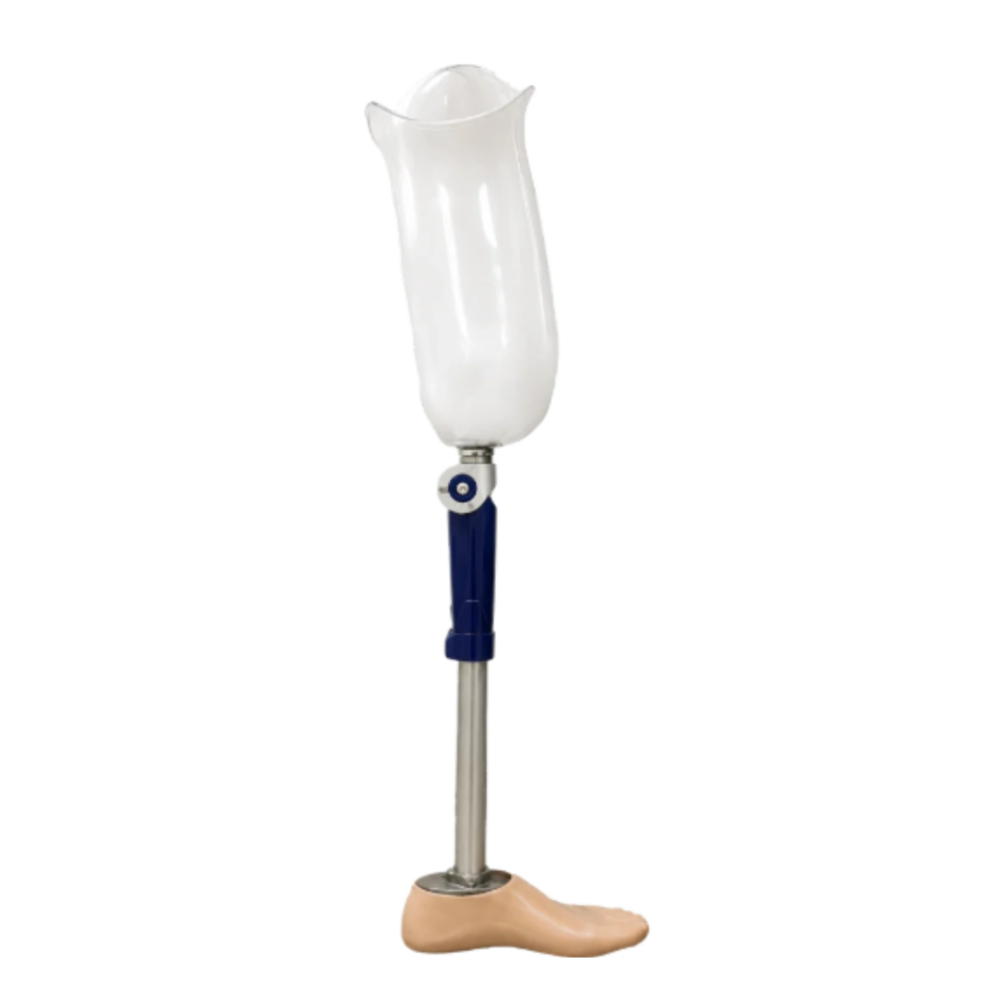 Pictures of prosthetic legs above the knee