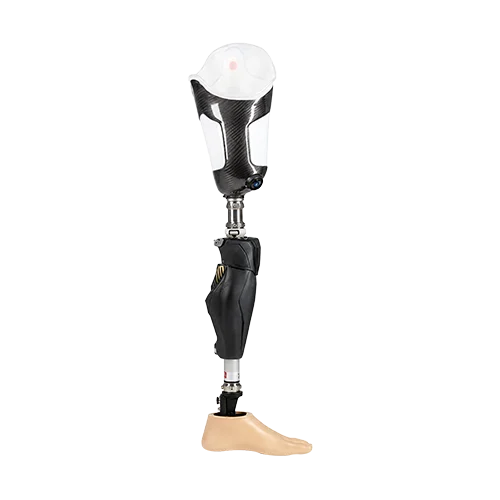 prosthelic leg above knee