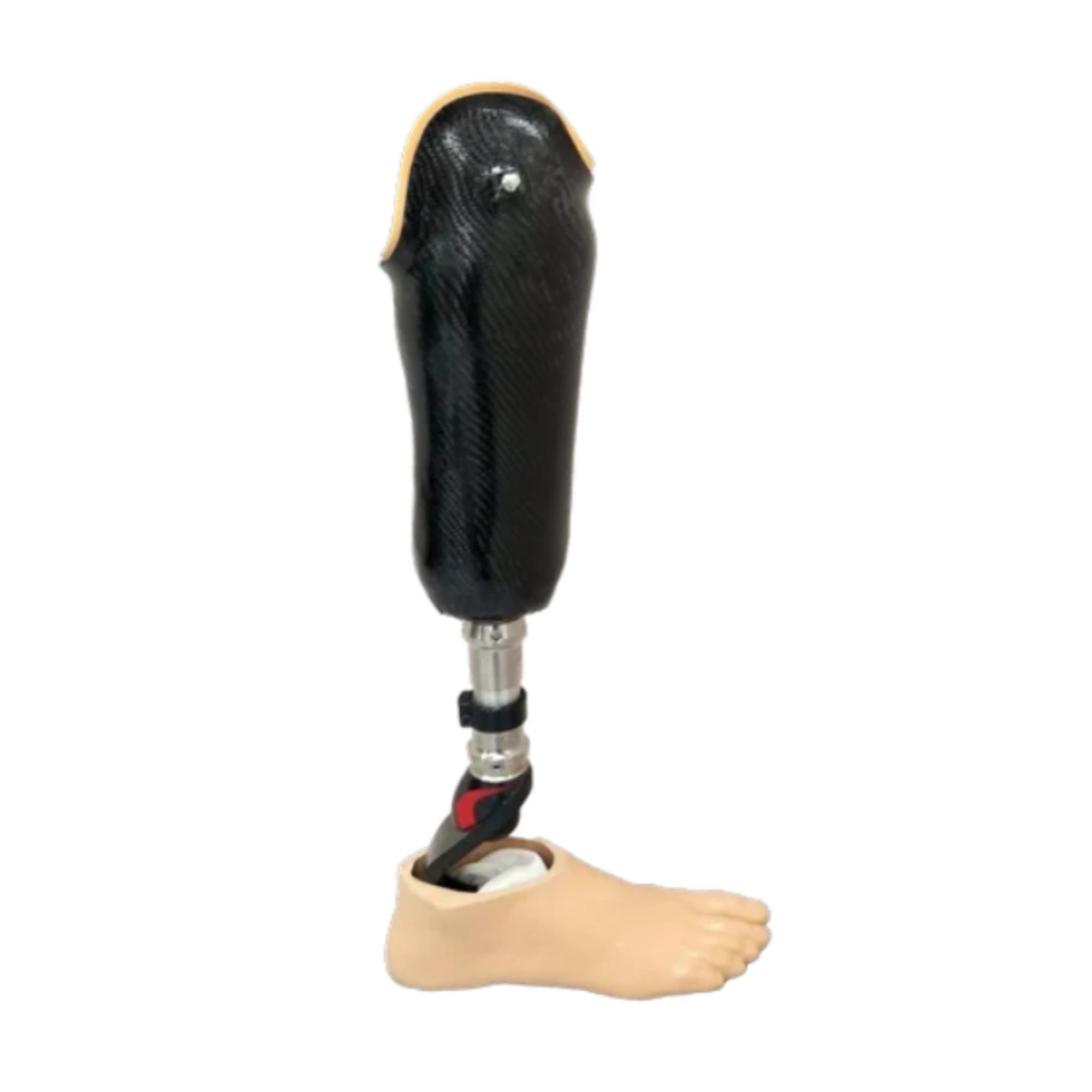 below knee prosthetic leg