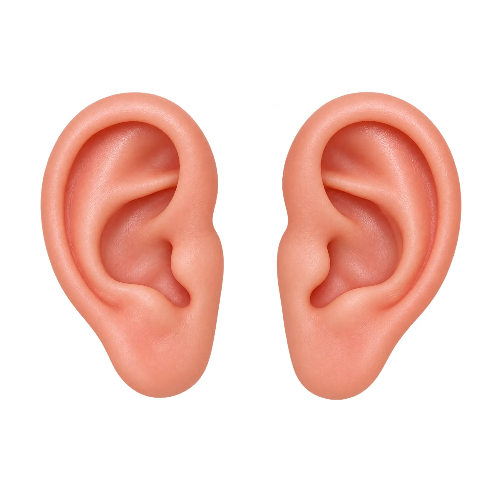 Silicone Ear