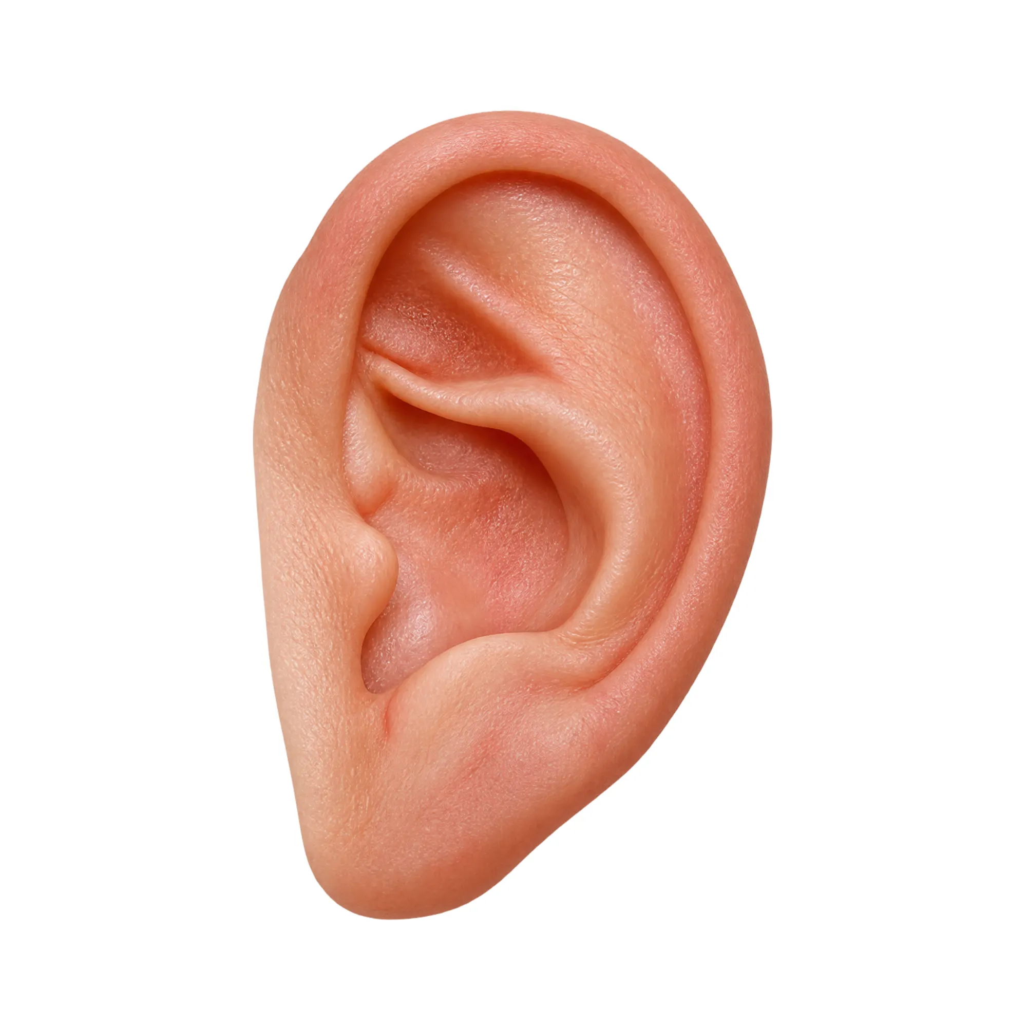 silicone ear